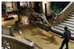 Oman ru ���������� ������, ������������� ���������� ������������